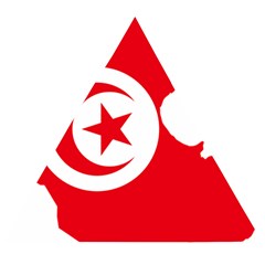 Tunisia Flag Map Geography Outline Wooden Puzzle Triangle