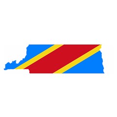 Democratic Republic Of The Congo Flag Satin Scarf (oblong) by Sapixe
