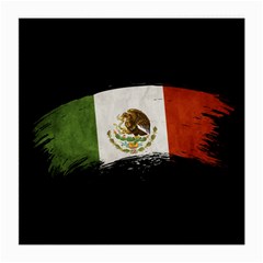 Flag Mexico Country National Medium Glasses Cloth