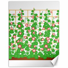 Flowering Vine Vine Ivy Flowers Canvas 12  X 16  by Pakrebo