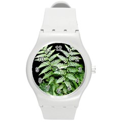 Fern Plant Leaf Green Botany Round Plastic Sport Watch (m) by Pakrebo