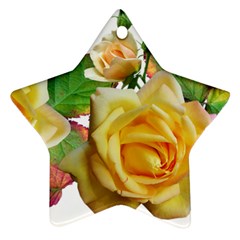 Flowers Roses Autumn Leaves Star Ornament (two Sides) by Pakrebo