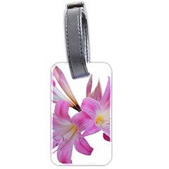 Lily Belladonna Easter Lily Luggage Tag (two sides)