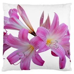 Lily Belladonna Easter Lily Standard Flano Cushion Case (one Side) by Pakrebo