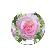 Roses Pink Flowers Perfume Leaves Magnet 3  (round) by Pakrebo