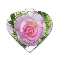 Roses Pink Flowers Perfume Leaves Dog Tag Heart (one Side) by Pakrebo