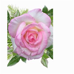 Roses Pink Flowers Perfume Leaves Large Garden Flag (two Sides) by Pakrebo