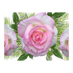 Roses Pink Flowers Perfume Leaves Double Sided Flano Blanket (mini)  by Pakrebo