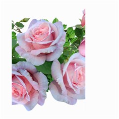 Roses Pink Flowers Leaves Large Garden Flag (two Sides) by Pakrebo