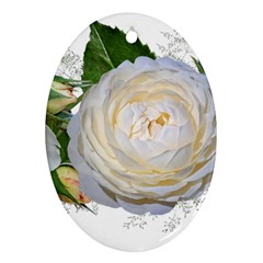 Flowers Roses White Fragrant Ornament (Oval)