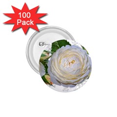 Flowers Roses White Fragrant 1.75  Buttons (100 pack) 