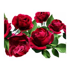 Roses Flowers Red Romantic Garden Double Sided Flano Blanket (mini) 