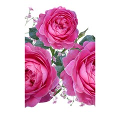 Roses Gypsophila Flowers Fragrant Shower Curtain 48  X 72  (small)  by Pakrebo