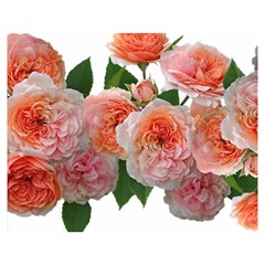 Roses Flowers Arrangement Perfume Double Sided Flano Blanket (medium)  by Pakrebo