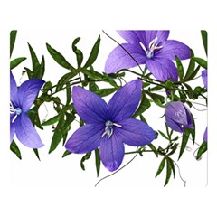 Flowers Blue Campanula Arrangement Double Sided Flano Blanket (large)  by Pakrebo