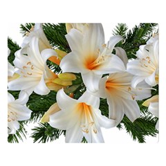 Lilies Belladonna White Flowers Double Sided Flano Blanket (large)  by Pakrebo