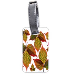 Leaves Autumn Fall Colorful Luggage Tag (two Sides)