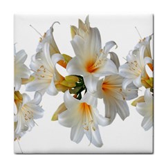 Lilies White Belladonna Face Towel by Simbadda