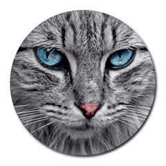 Cat Animal Cat Portrait Mackerel Round Mousepads