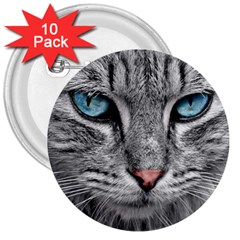 Cat Animal Cat Portrait Mackerel 3  Buttons (10 Pack) 