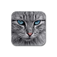 Cat Animal Cat Portrait Mackerel Rubber Square Coaster (4 Pack) 