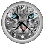 Cat Animal Cat Portrait Mackerel Wall Clock (Silver) Front