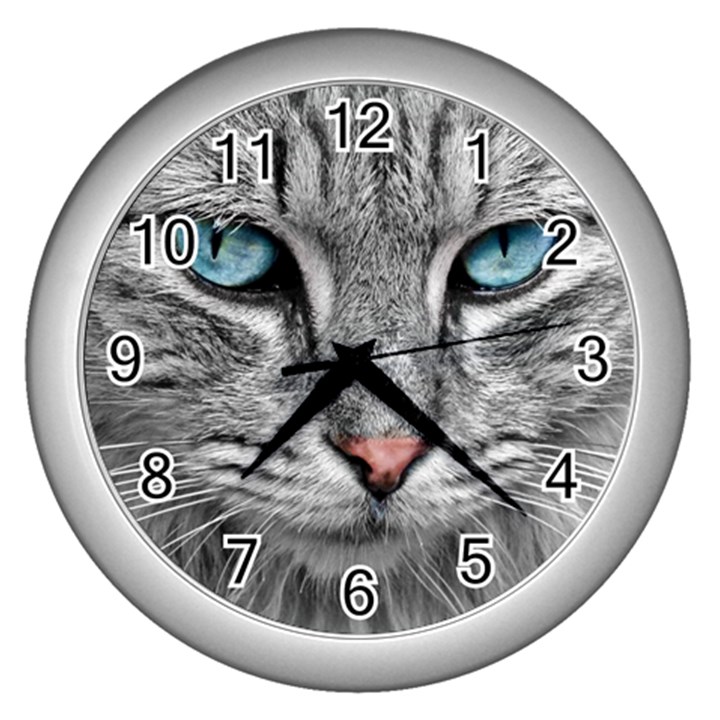 Cat Animal Cat Portrait Mackerel Wall Clock (Silver)