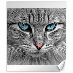Cat Animal Cat Portrait Mackerel Canvas 8  X 10 