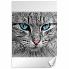 Cat Animal Cat Portrait Mackerel Canvas 20  X 30 