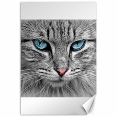 Cat Animal Cat Portrait Mackerel Canvas 24  X 36 