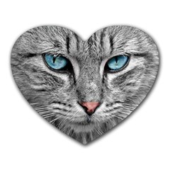 Cat Animal Cat Portrait Mackerel Heart Mousepads