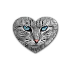 Cat Animal Cat Portrait Mackerel Rubber Coaster (heart) 