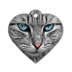 Cat Animal Cat Portrait Mackerel Dog Tag Heart (one Side)