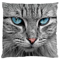 Cat Animal Cat Portrait Mackerel Large Flano Cushion Case (two Sides) by Sudhe