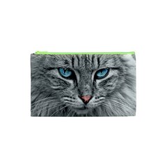 Cat Animal Cat Portrait Mackerel Cosmetic Bag (xs) by Sudhe