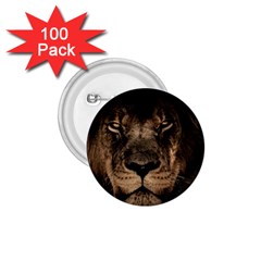 African Lion Wildcat Mane Closeup 1 75  Buttons (100 Pack) 