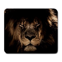 African Lion Wildcat Mane Closeup Large Mousepads