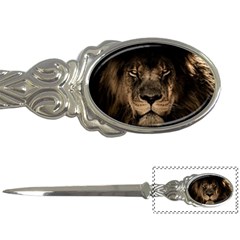 African Lion Wildcat Mane Closeup Letter Opener