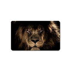 African Lion Wildcat Mane Closeup Magnet (name Card)