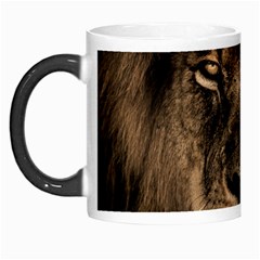 African Lion Wildcat Mane Closeup Morph Mugs