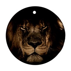 African Lion Wildcat Mane Closeup Round Ornament (two Sides)