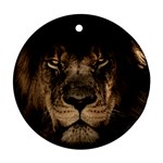 African Lion Wildcat Mane Closeup Round Ornament (Two Sides) Front