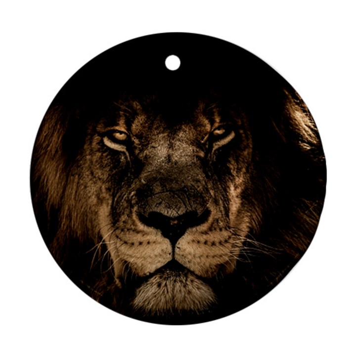 African Lion Wildcat Mane Closeup Round Ornament (Two Sides)