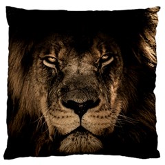 African Lion Wildcat Mane Closeup Large Cushion Case (one Side)