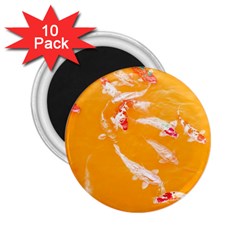 Koi Carp Scape 2 25  Magnets (10 Pack)  by essentialimage