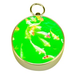 Koi Carp Scape Gold Compasses by essentialimage