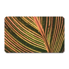 Leaf Patten Lines Colorful Plant Magnet (rectangular) by Simbadda