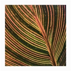 Leaf Patten Lines Colorful Plant Medium Glasses Cloth (2 Sides) by Simbadda