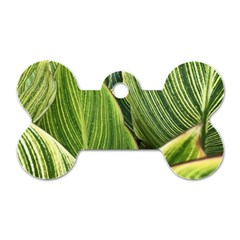 Leaves Striped Pattern Texture Dog Tag Bone (two Sides) by Simbadda