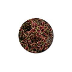 Plant Colorful Red Garden Leaves Golf Ball Marker by Simbadda